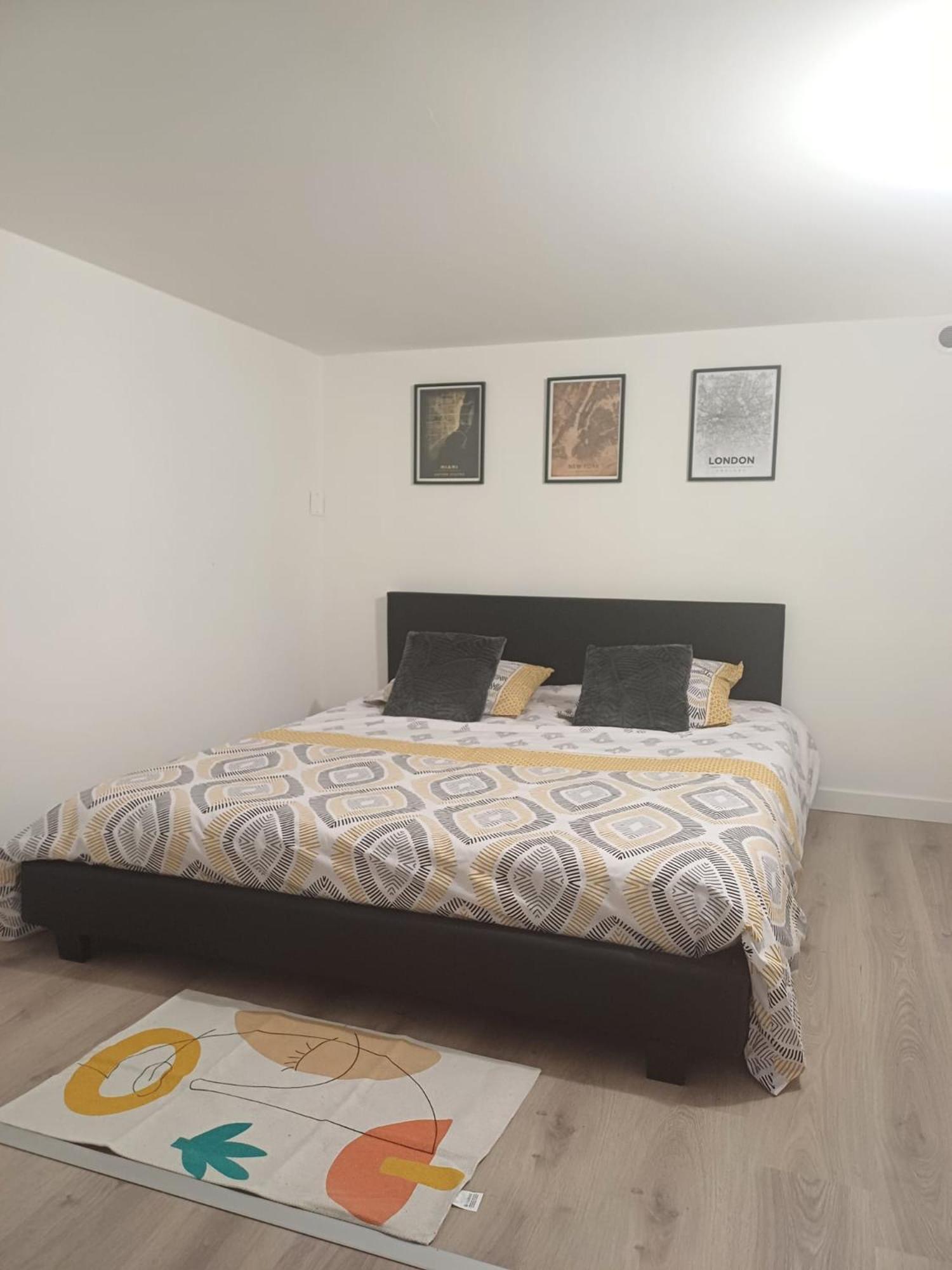 Apartment Le Loft Du Canal, 2 Lits, Baignoire Balneo, Wifi Agen