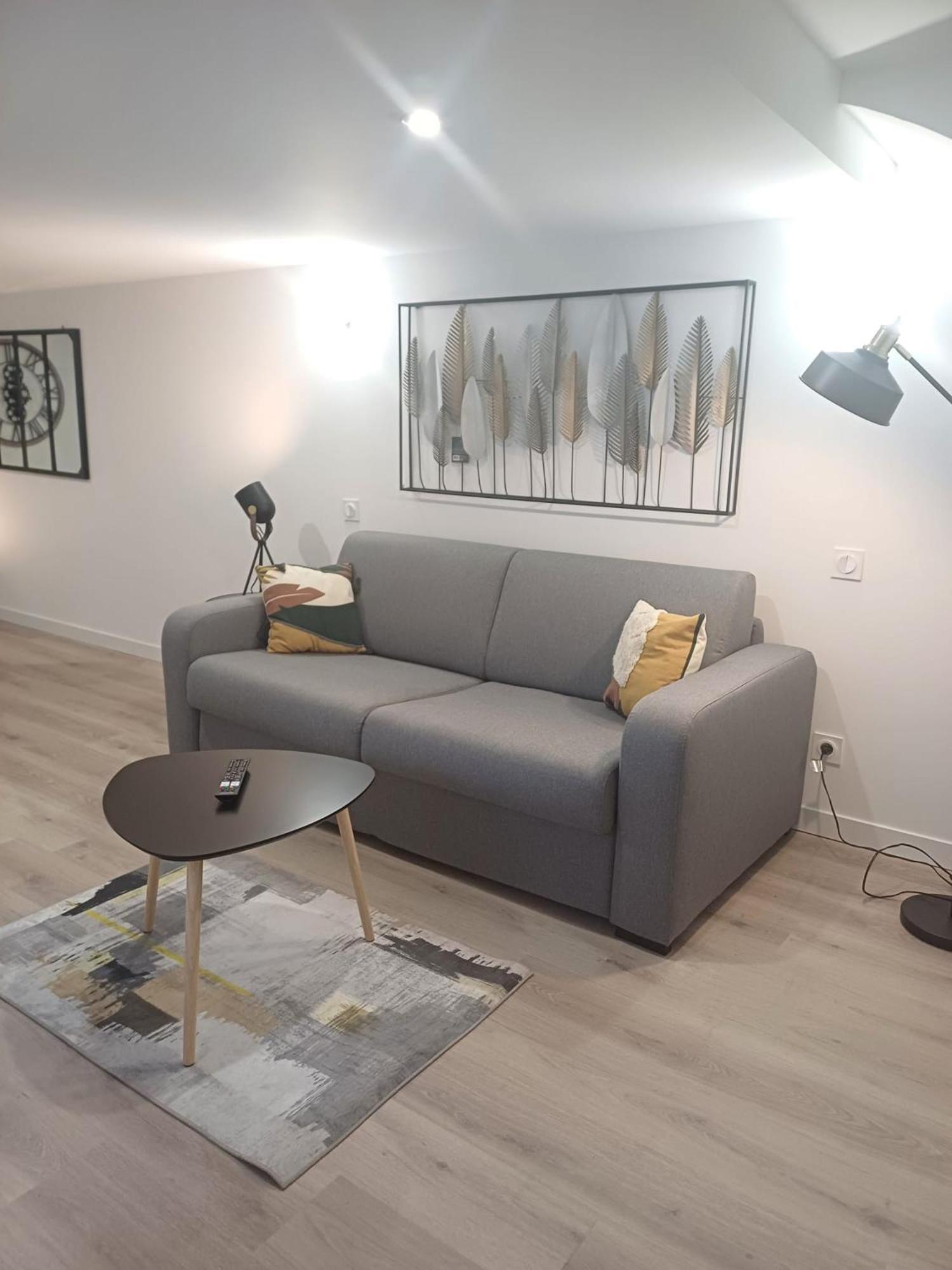Le Loft Du Canal, 2 Lits, Baignoire Balneo, Wifi
