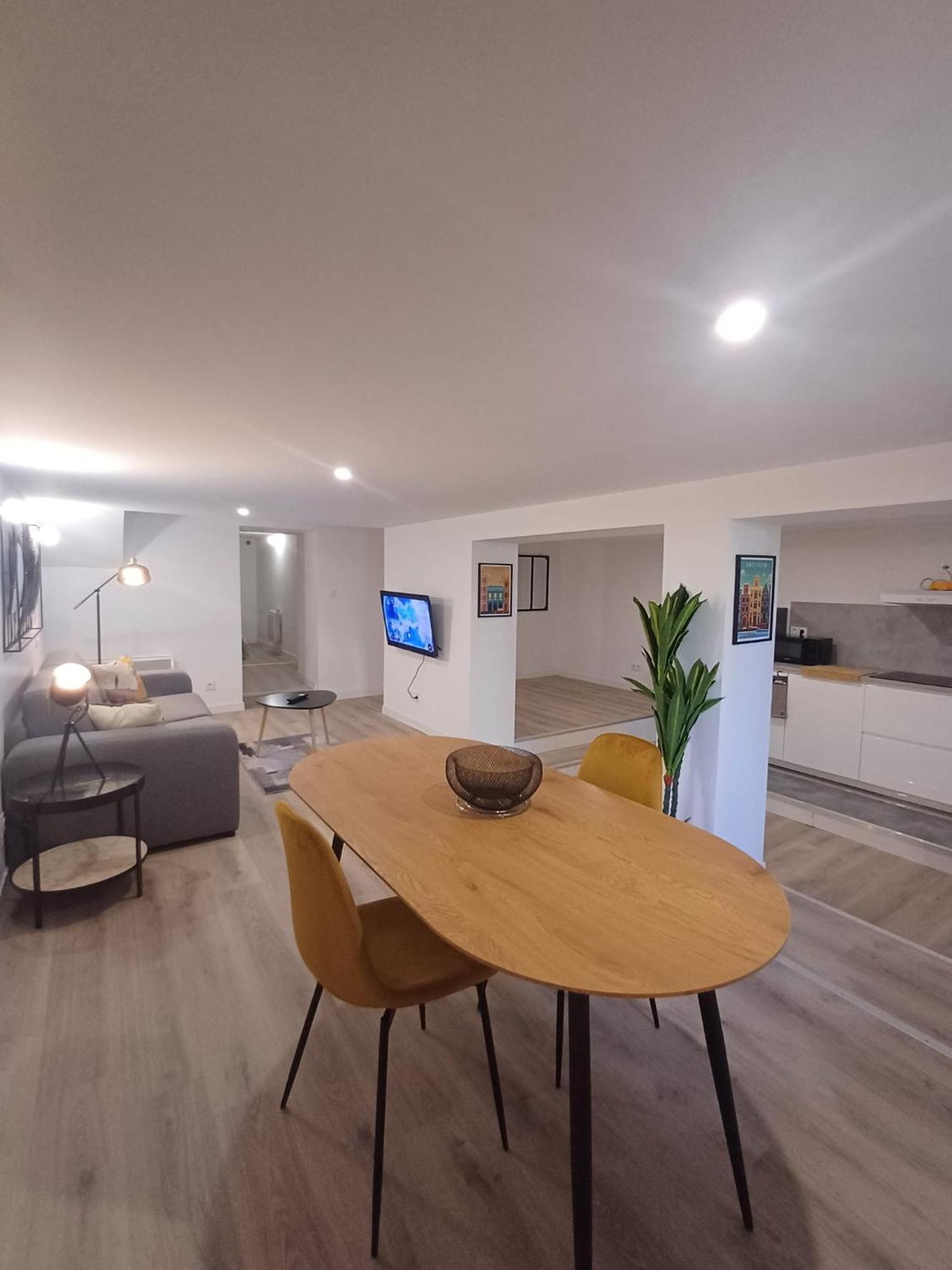 Le Loft Du Canal, 2 Lits, Baignoire Balneo, Wifi Agen
